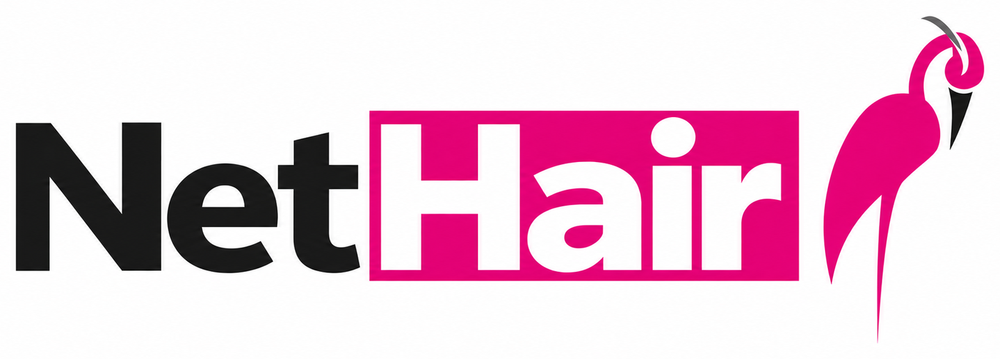 NetHair